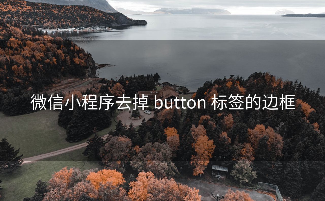 微信小程序去掉 button 标签的边框