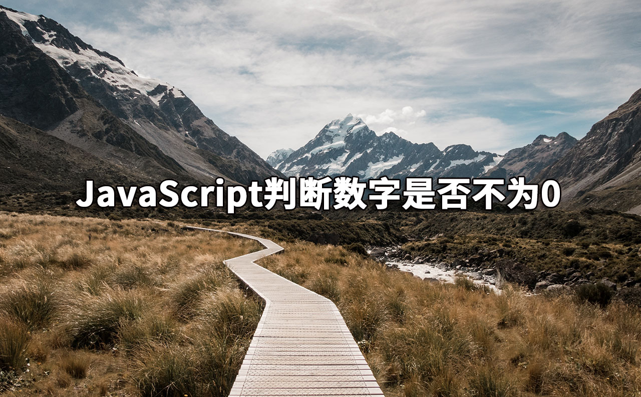 JavaScript判断数字是否不为0