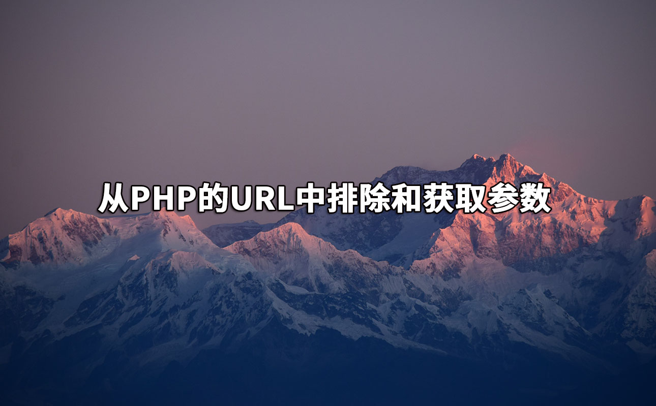 从PHP的URL中排除和获取参数