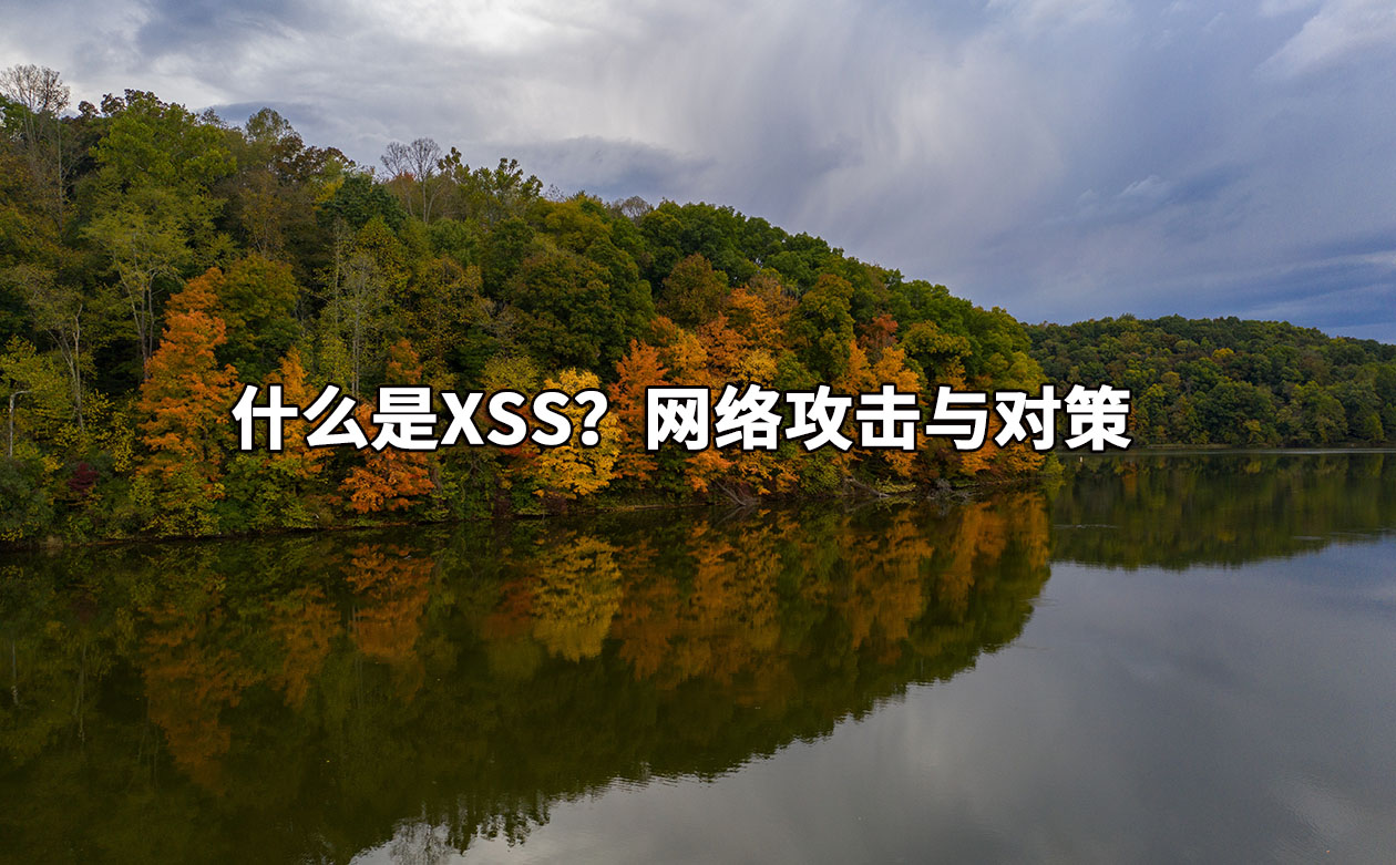 什么是XSS？网络攻击与对策 