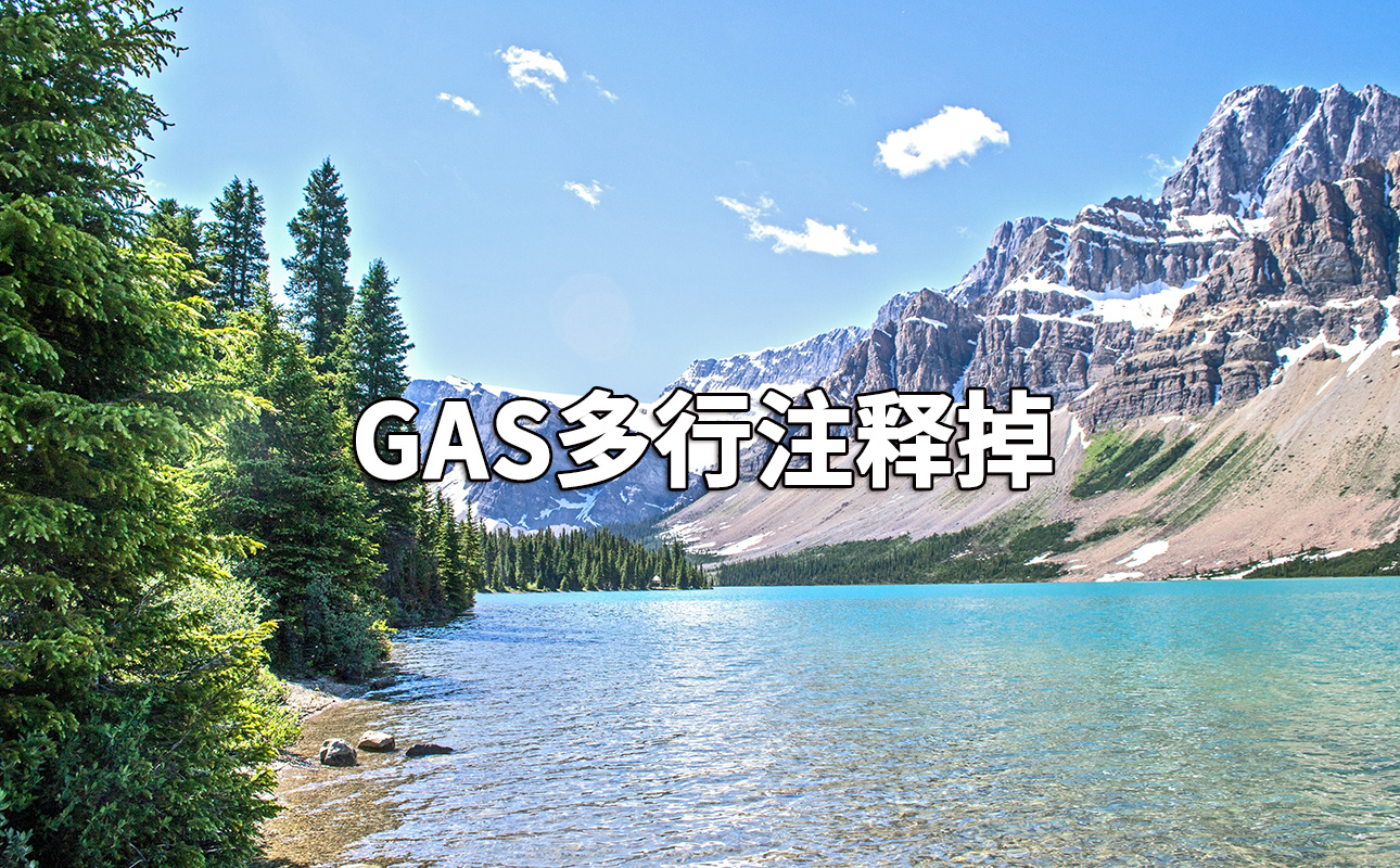 GAS多行注释掉