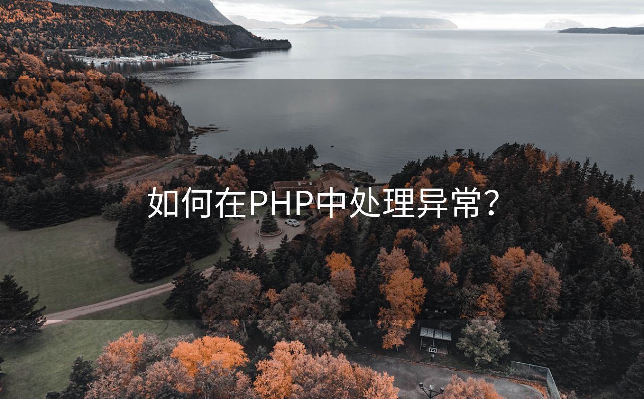 如何在PHP中处理异常？