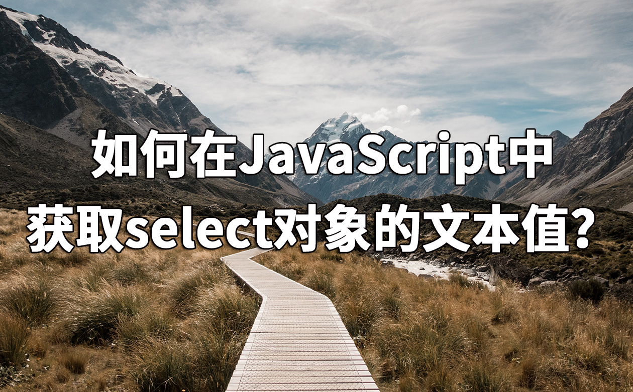 如何在JavaScript中获取select对象的文本值？