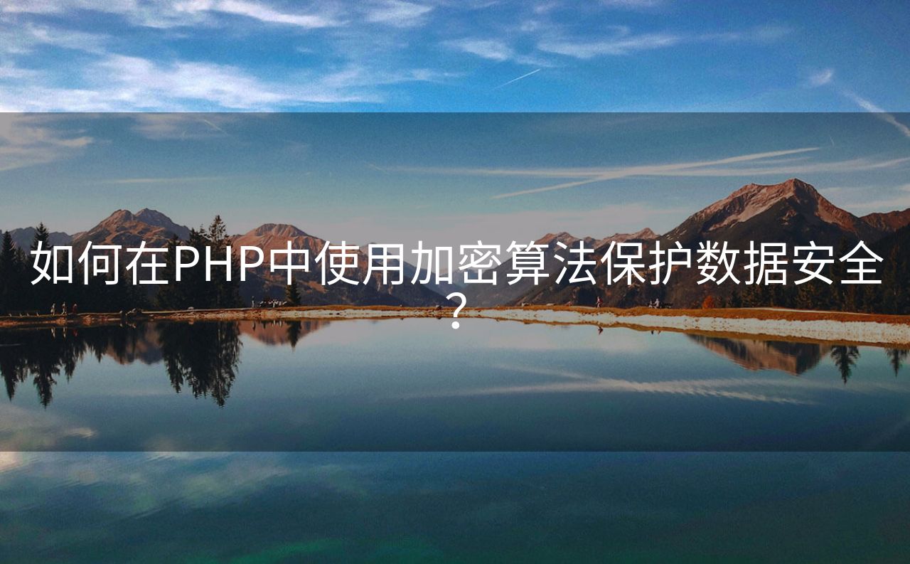 如何在PHP中使用加密算法保护数据安全？