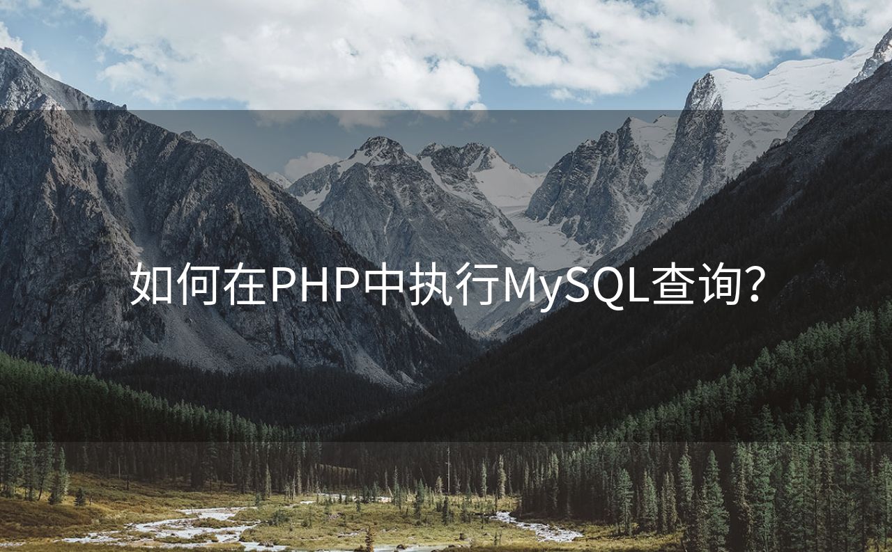 如何在PHP中执行MySQL查询？