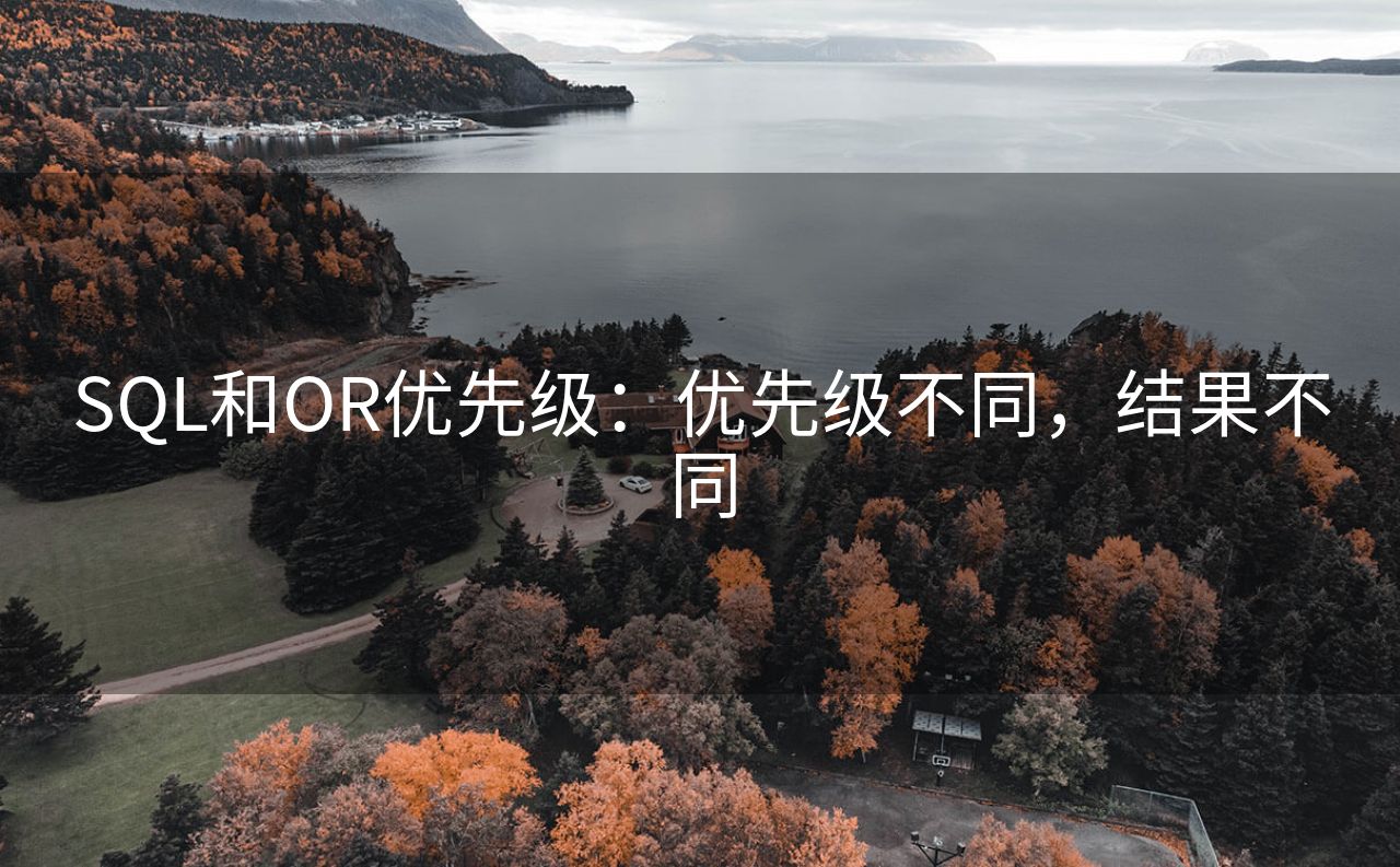 SQL和OR优先级：优先级不同，结果不同