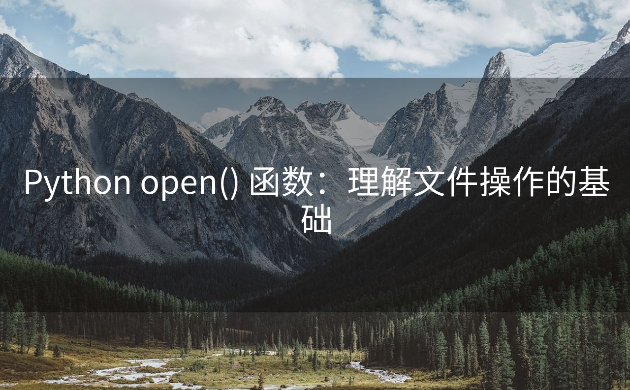 Python open() 函数：理解文件操作的基础