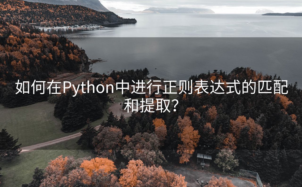 如何在Python中进行正则表达式的匹配和提取？