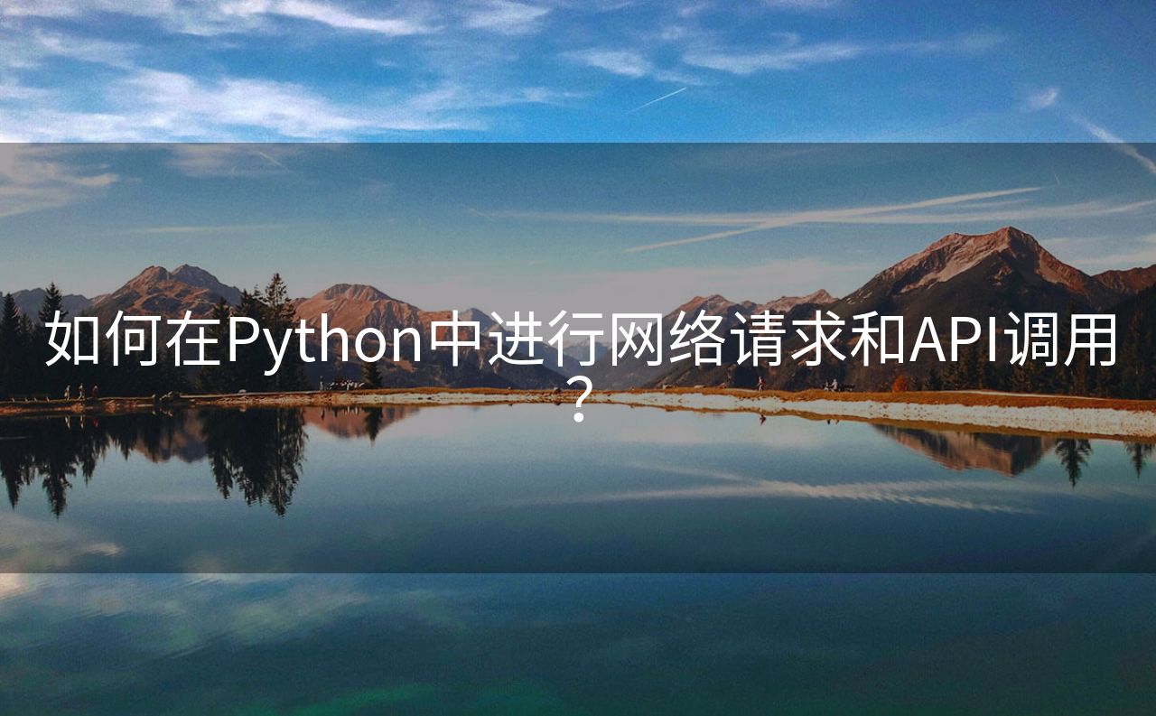 如何在Python中进行网络请求和API调用？