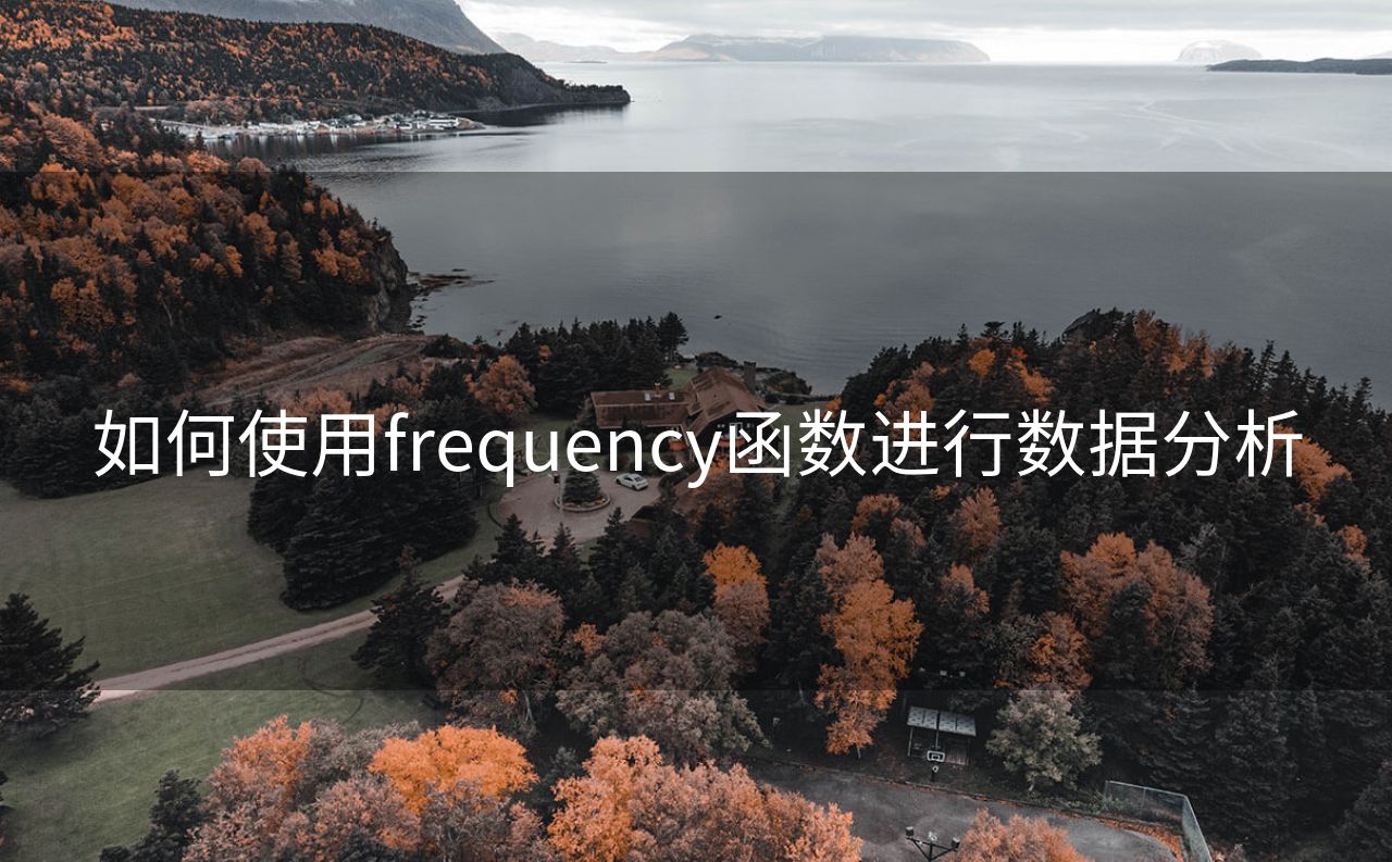 如何使用frequency函数进行数据分析