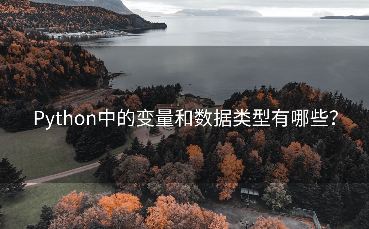 Python中的变量和数据类型有哪些？