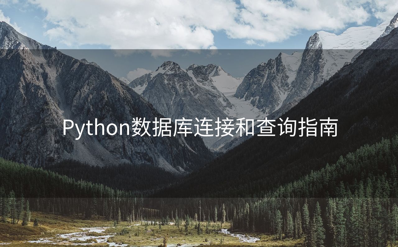 Python数据库连接和查询指南