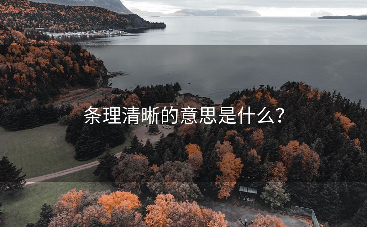 条理清晰的意思是什么？