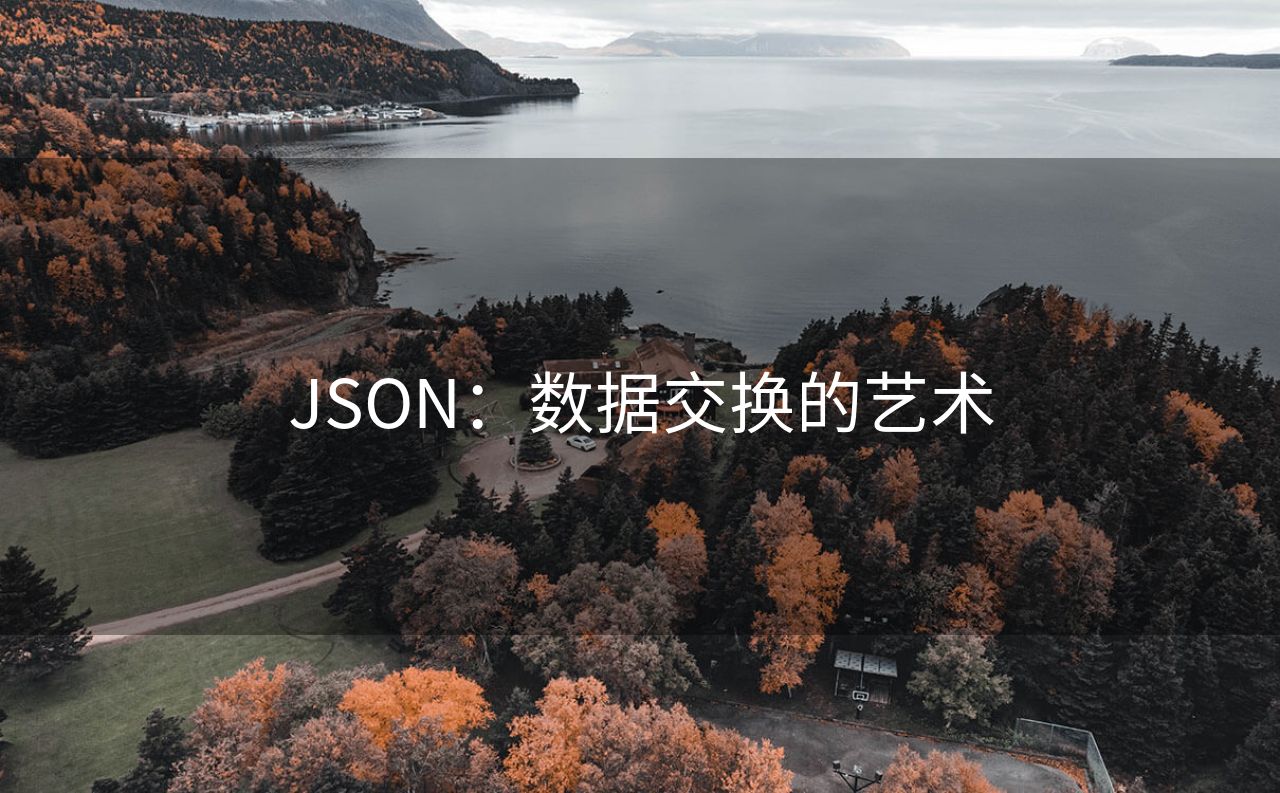 JSON：数据交换的艺术