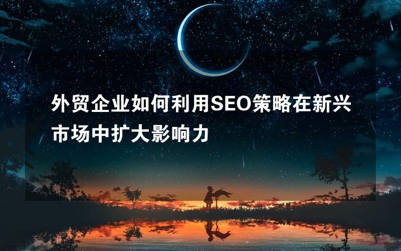 外贸企业如何利用SEO策略在新兴市场中扩大影响力