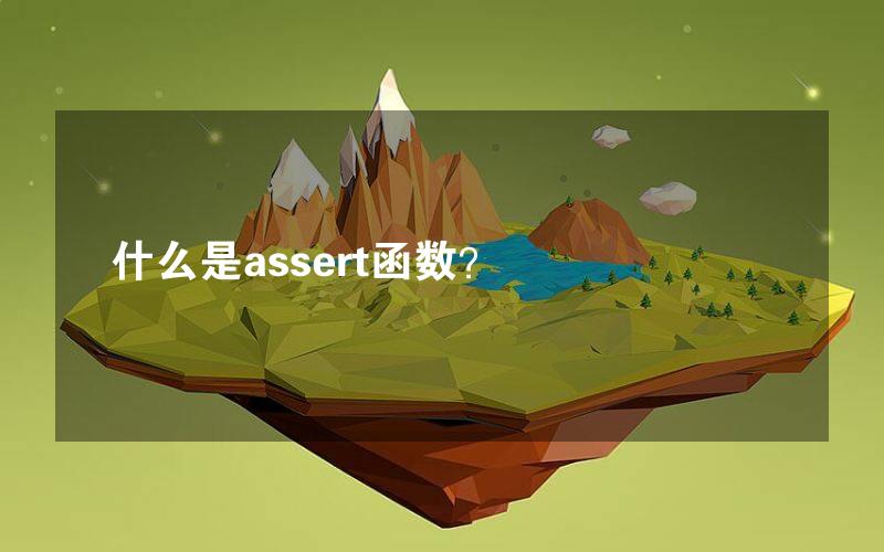 什么是assert函数？