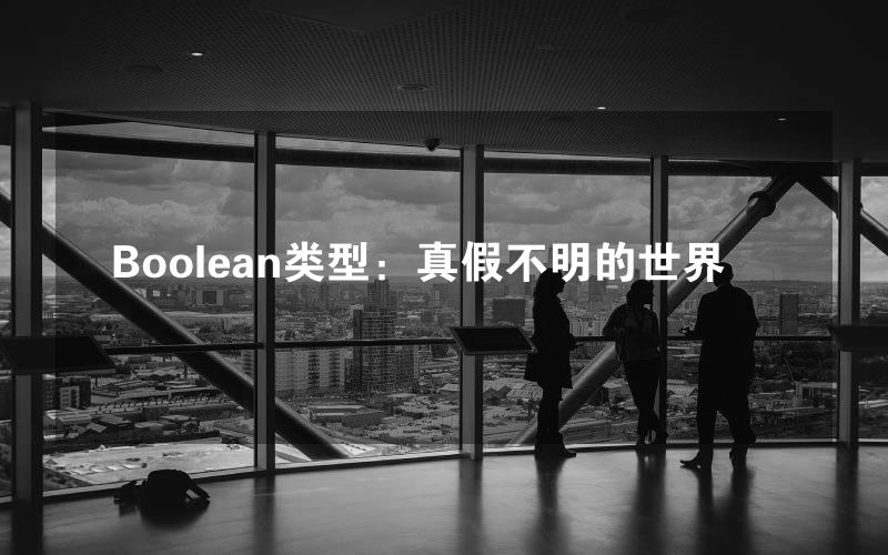 Boolean类型：真假不明的世界