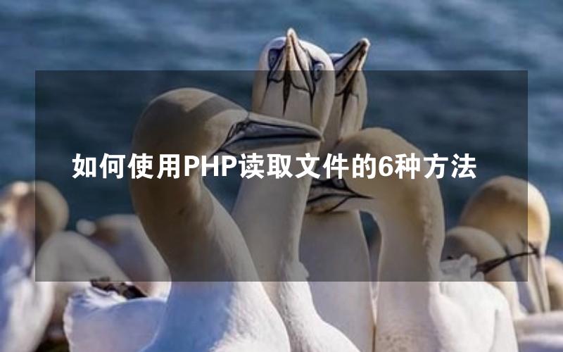 如何使用PHP读取文件的6种方法