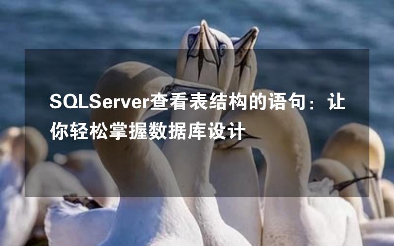 SQLServer查看表结构的语句：让你轻松掌握数据库设计