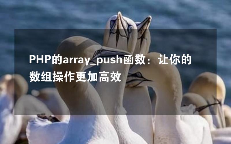 PHP的array_push函数：让你的数组操作更加高效