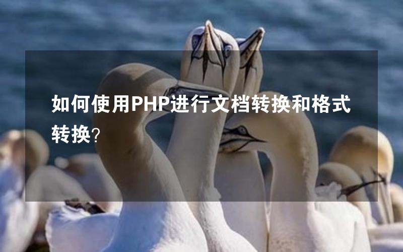 如何使用PHP进行文档转换和格式转换？