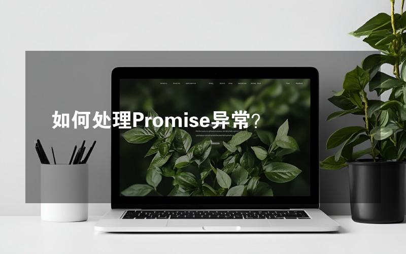 如何处理Promise异常？