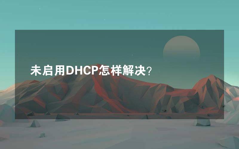 未启用DHCP怎样解决？