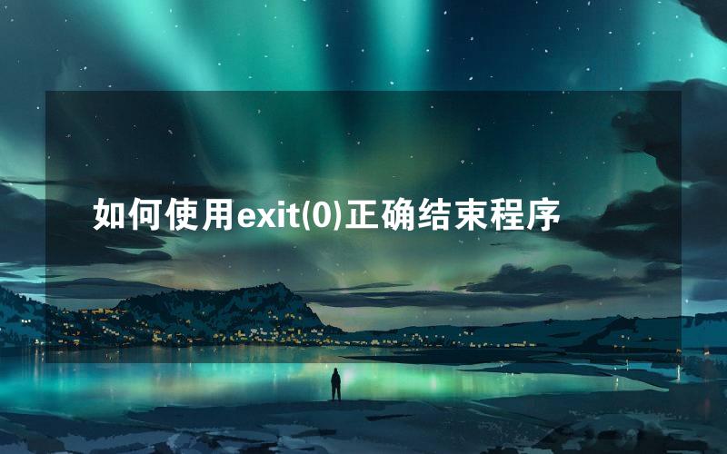 如何使用exit(0)正确结束程序