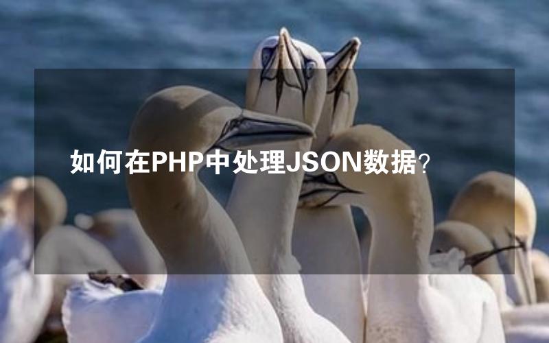 如何在PHP中处理JSON数据？