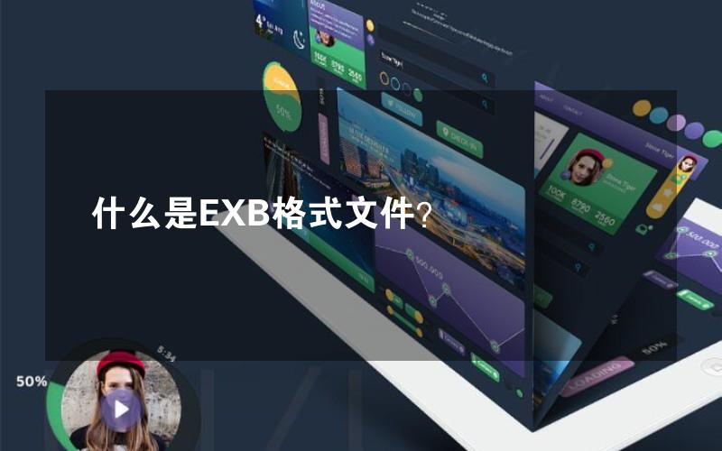 什么是EXB格式文件？