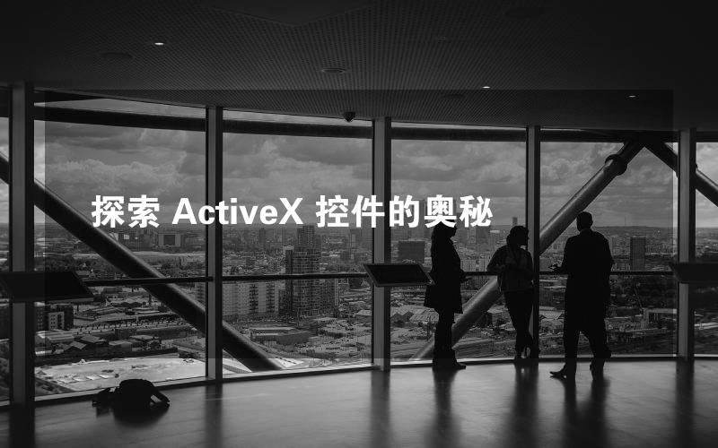 探索 ActiveX 控件的奥秘