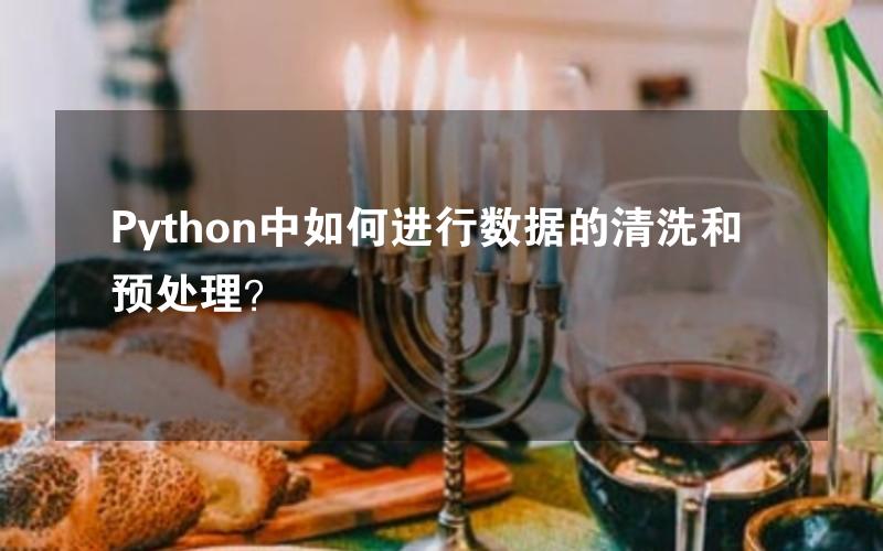 Python中如何进行数据的清洗和预处理？