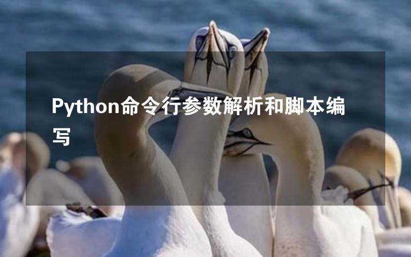 Python命令行参数解析和脚本编写