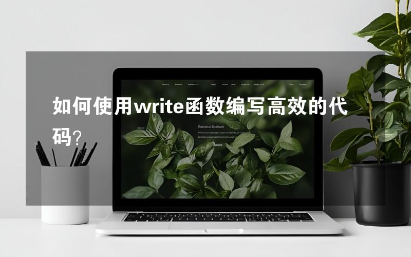 如何使用write函数编写高效的代码？