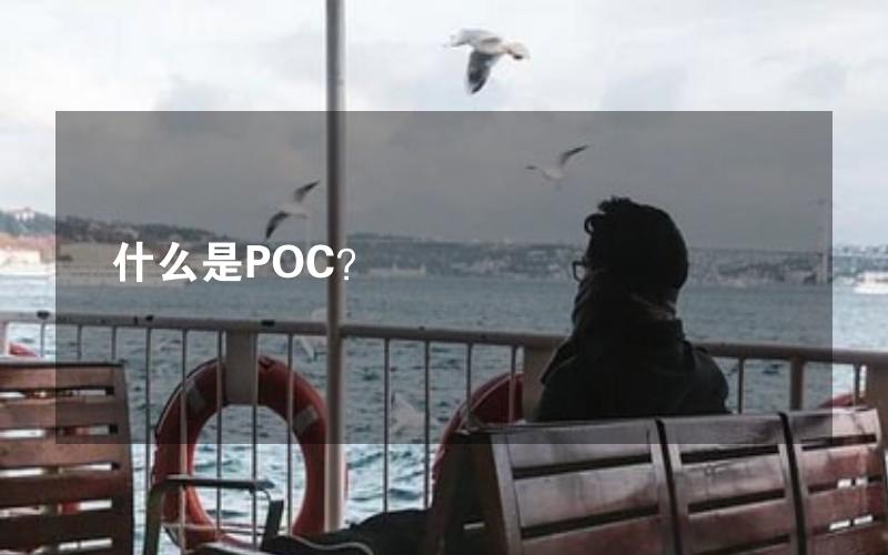 什么是POC？