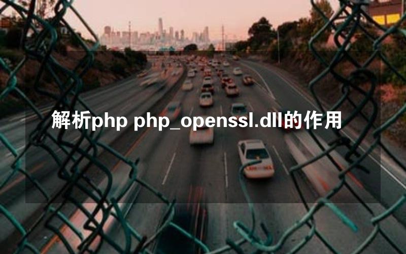 解析php php_openssl.dll的作用