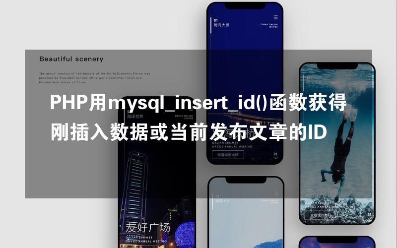 PHP用mysql_insert_id()函数获得刚插入数据或当前发布文章的ID