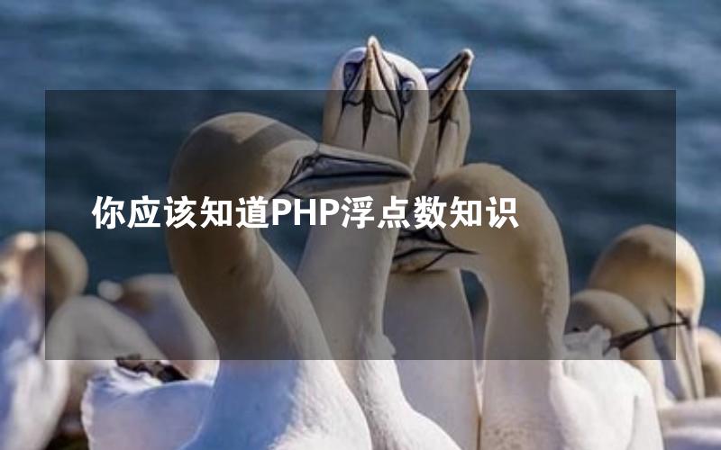 你应该知道PHP浮点数知识