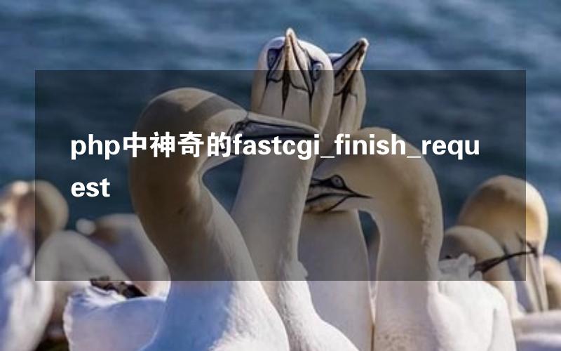 php中神奇的fastcgi_finish_request