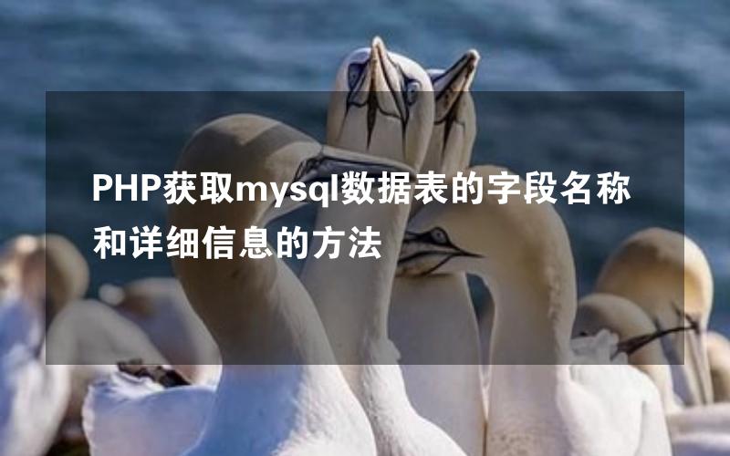 PHP获取mysql数据表的字段名称和详细信息的方法